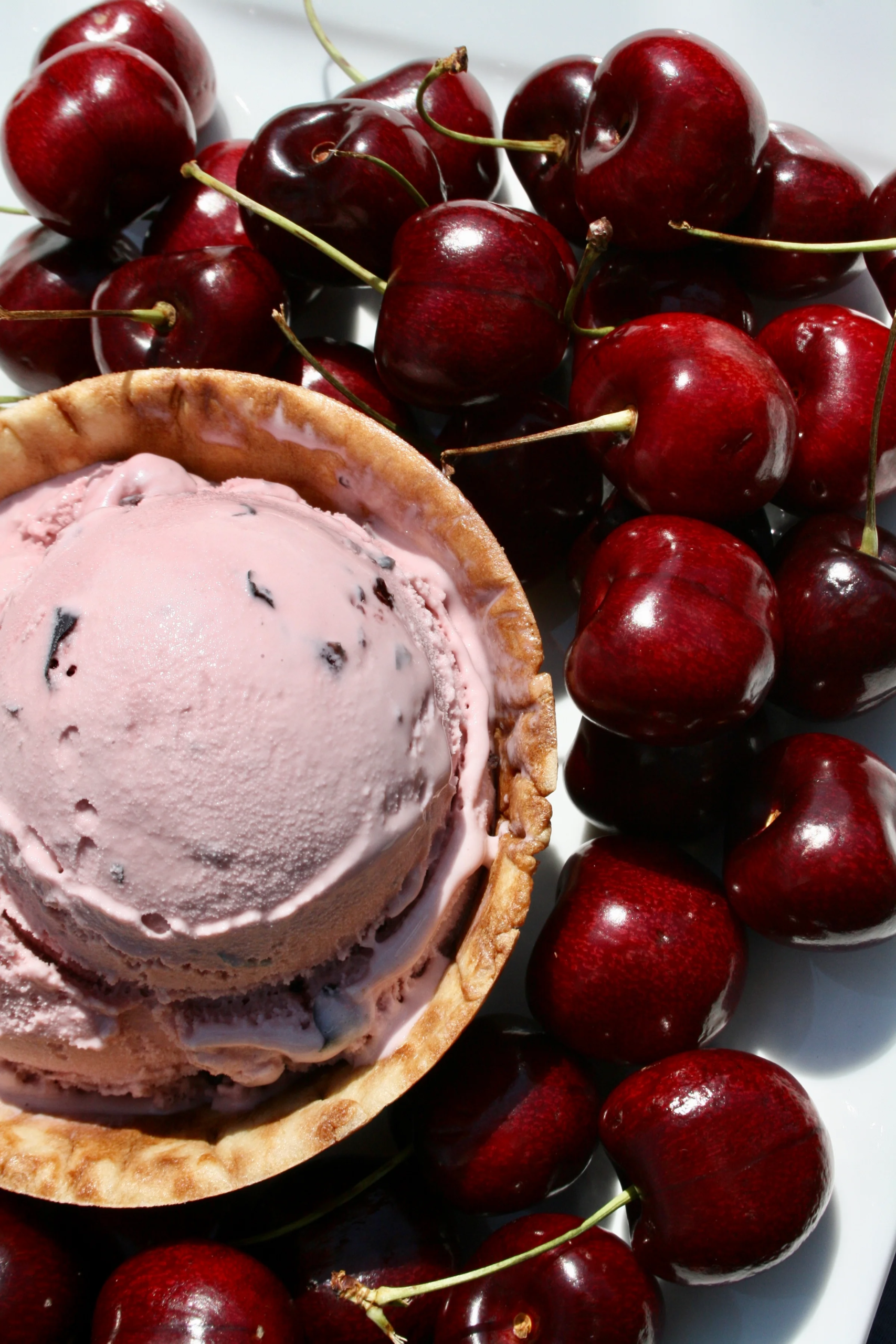 Elegant ice cream dessert station serving guests at upscale DuPage County wedding reception, Ice cream catering setup serving guests at a community celebration in Arlington Heights, Experienced catering team operating a mobile ice cream setup with efficient event service